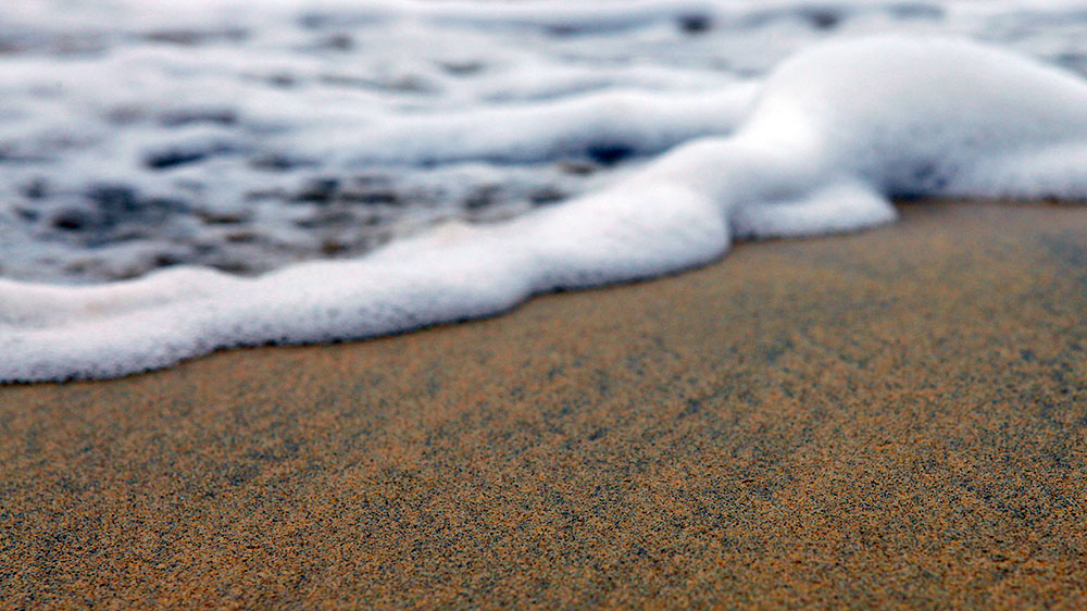 blauwasser_porto_santo_revierinfo_heilerde