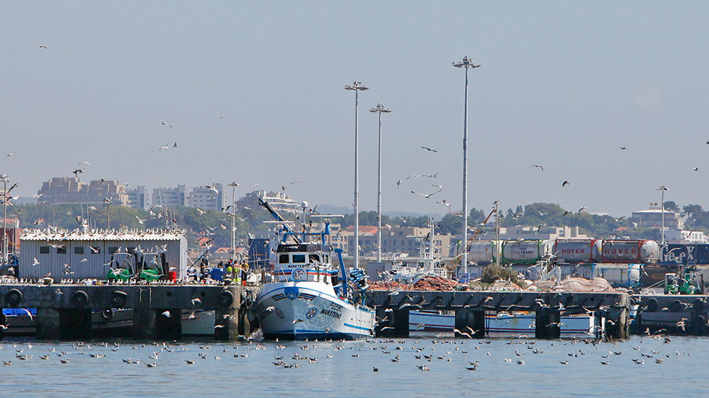 blauwasser_portugal_hafen_Leixoes_fischer