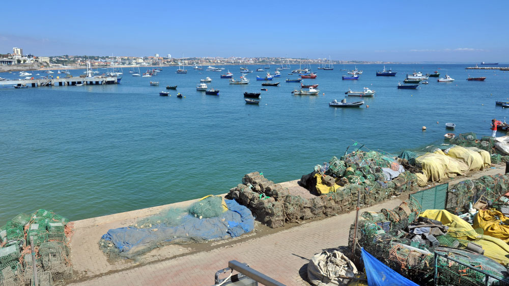 blauwasser_portugal_hafen_cascais_ankerfeld