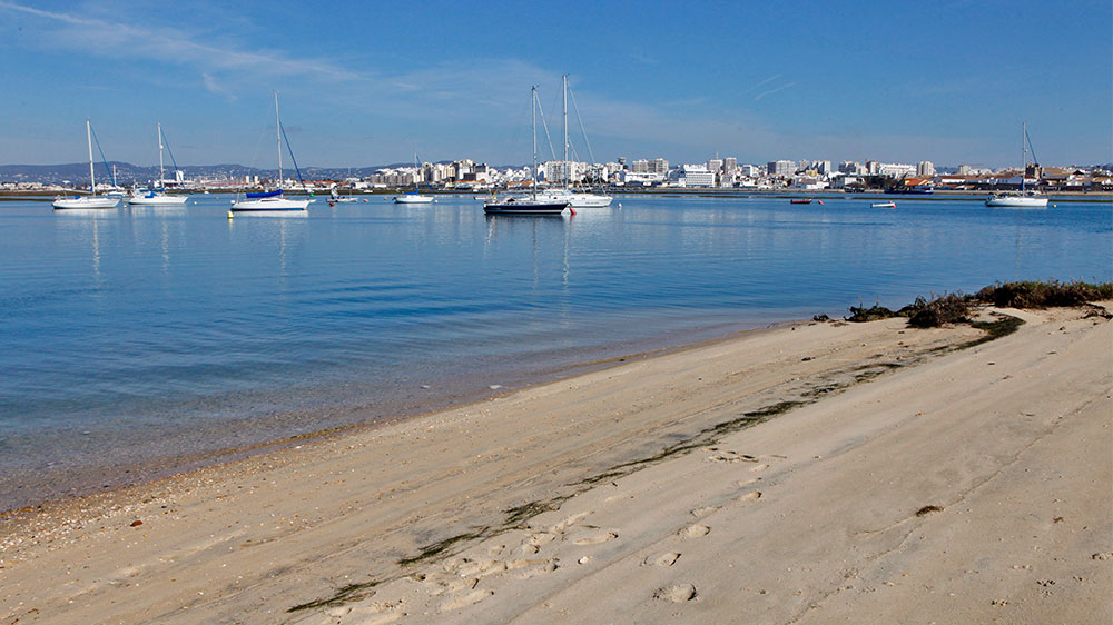 blauwasser_portugal_hafen_faro_bojenfeld