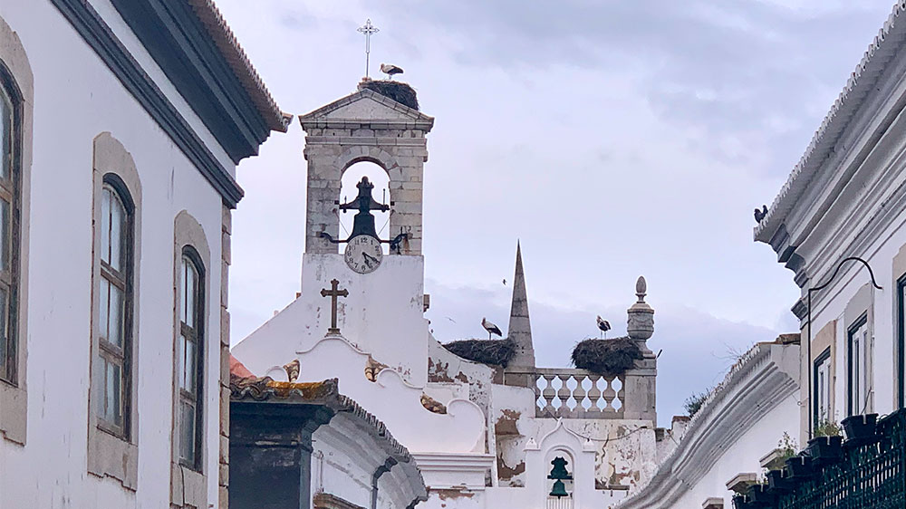 blauwasser_portugal_hafen_faro_stoerche