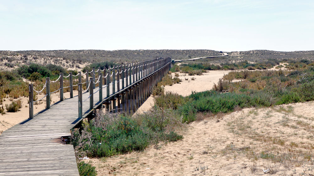 blauwasser_portugal_hafen_ilha_da_culatra_ankerplatz_bretterbohlenweg