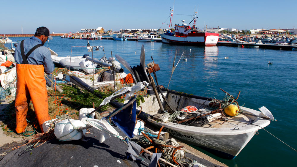 blauwasser_portugal_hafen_ilha_da_culatra_ankerplatz_fischer