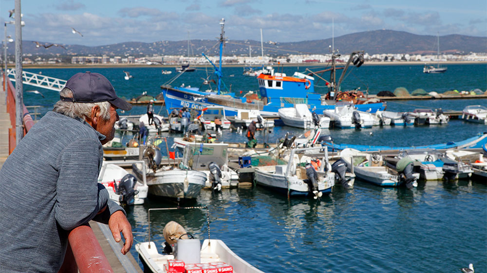 blauwasser_portugal_hafen_ilha_da_culatra_ankerplatz_fischer_2