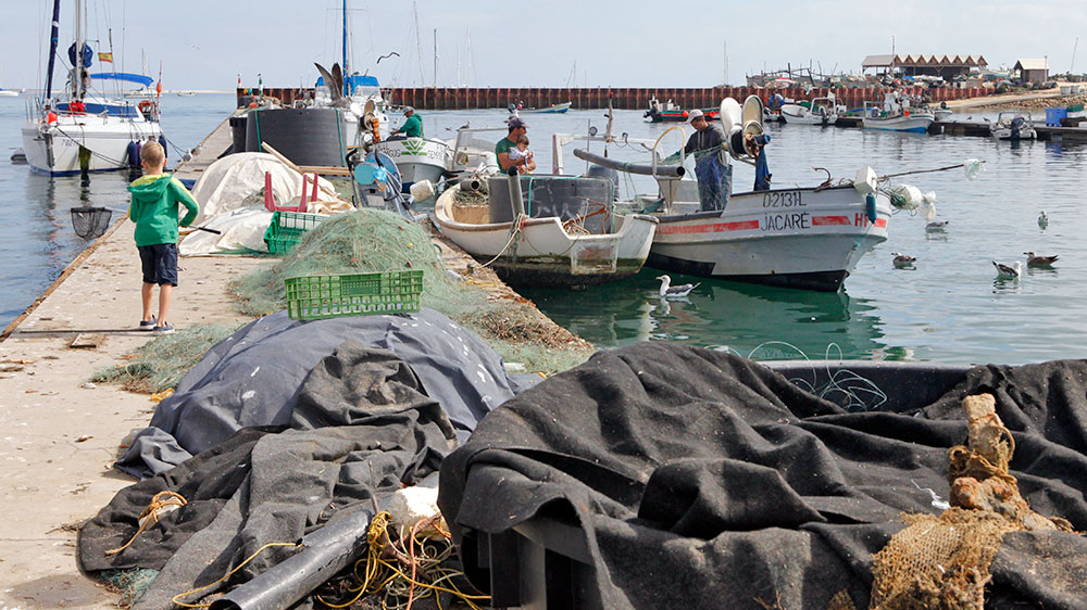 blauwasser_portugal_hafen_ilha_da_culatra_ankerplatz_hafen_1
