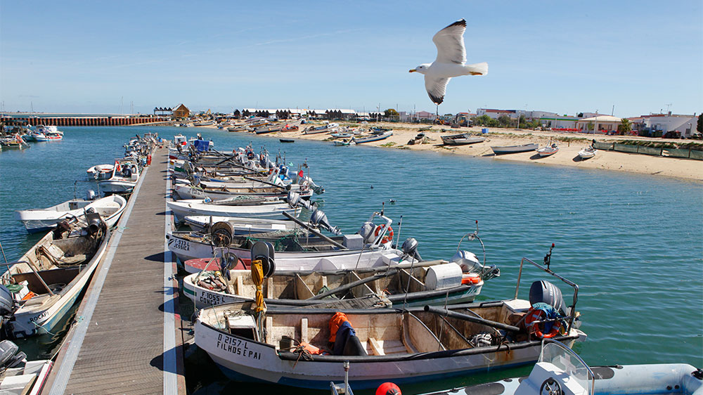blauwasser_portugal_hafen_ilha_da_culatra_ankerplatz_hafen_3