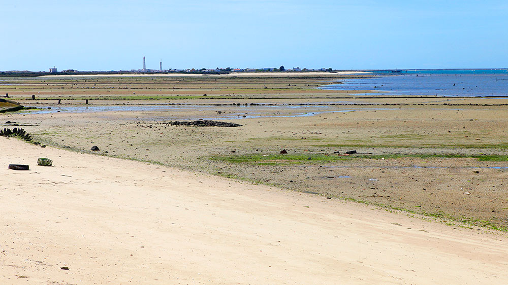 blauwasser_portugal_hafen_ilha_da_culatra_ankerplatz_landschaft_2