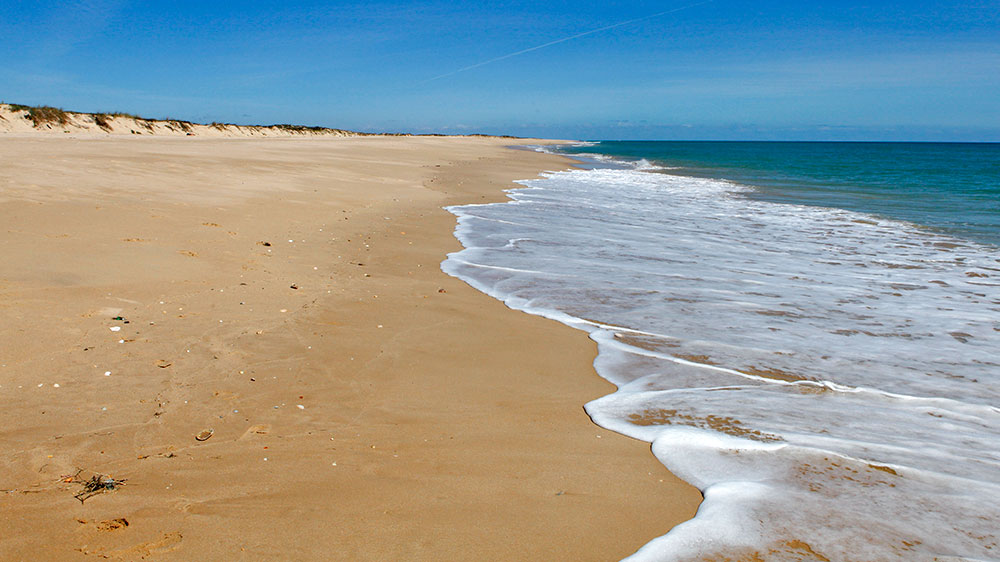 blauwasser_portugal_hafen_ilha_da_culatra_ankerplatz_strand