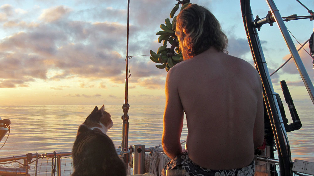 blauwasser_praxis_katzen_an_bord_sundowner