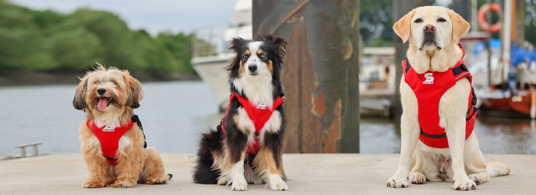 blauwasser_rettungsweste_hunde_header