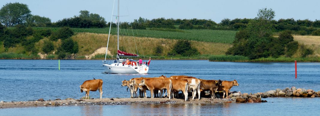 blauwasser_revier_info_flensburger_foerde_als_sund_header