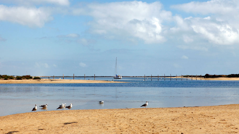 blauwasser_revier_portugal_algarve_cultra_natur