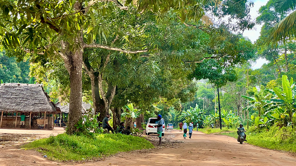 blauwasser_revier_tansania_sansibar_inland