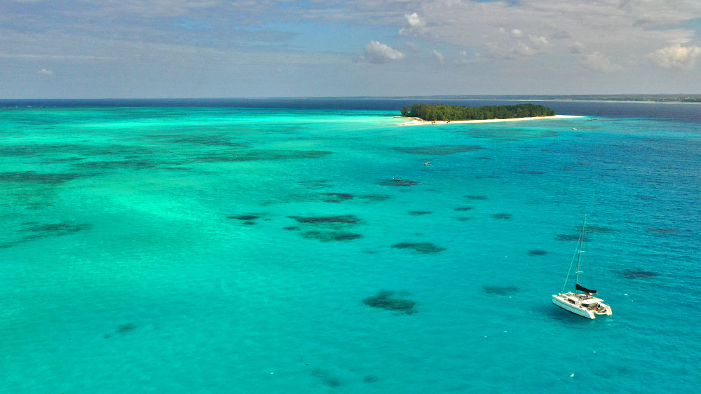 blauwasser_revier_tansania_sansibar_mnemba