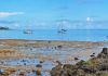 Revierbericht Tonga: Das Südsee-Kleinod Niuatoputapu