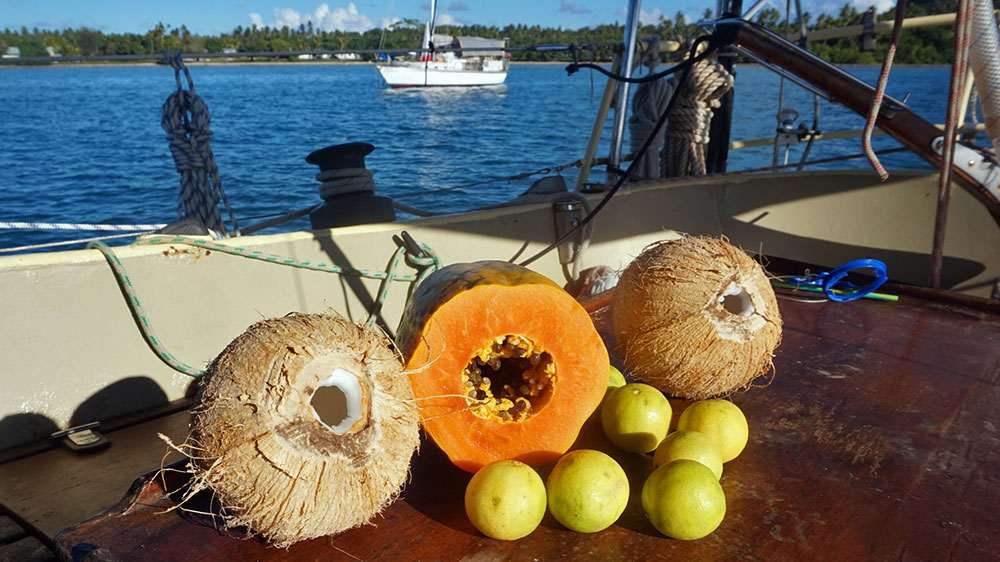blauwasser_revier_tonga_ankerplatz_niuatoputapu_obst