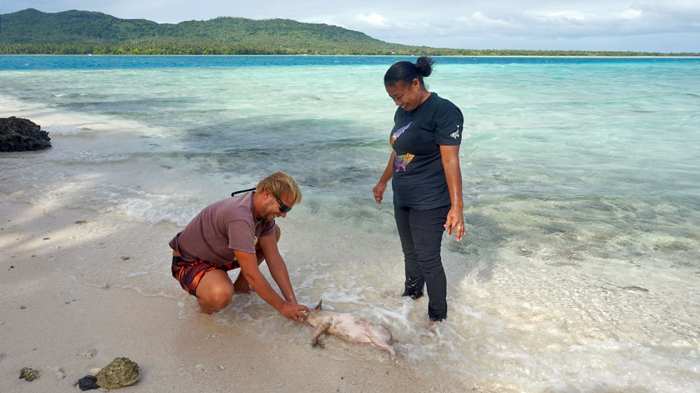 blauwasser_revier_tonga_ankerplatz_niuatoputapu_pigroast_2