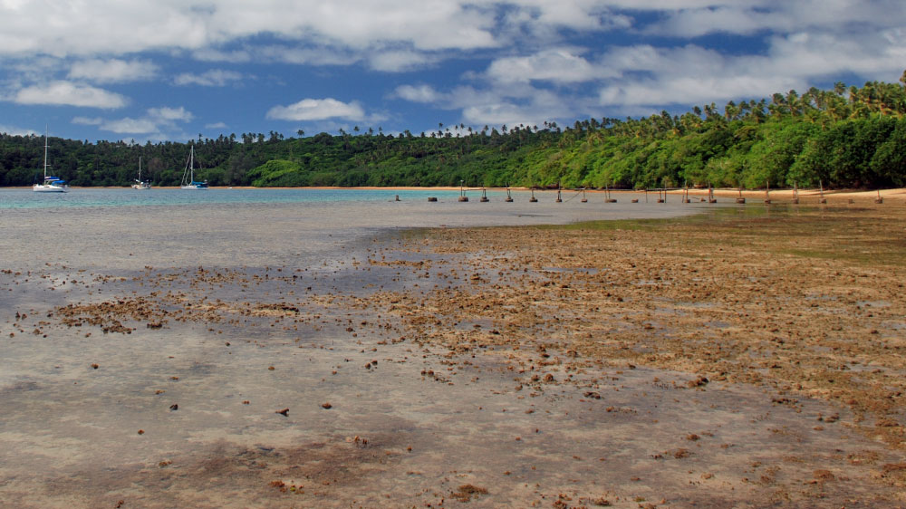 blauwasser_revier_tonga_vavau_ankerplatz_16