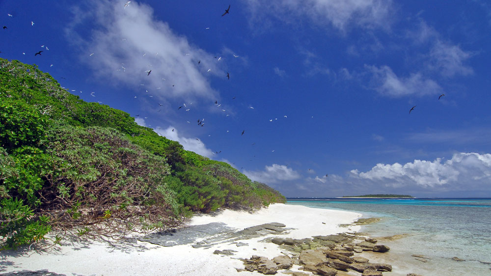 blauwasser_revier_tonga_vavau_ankerplatz_31_voegel_1