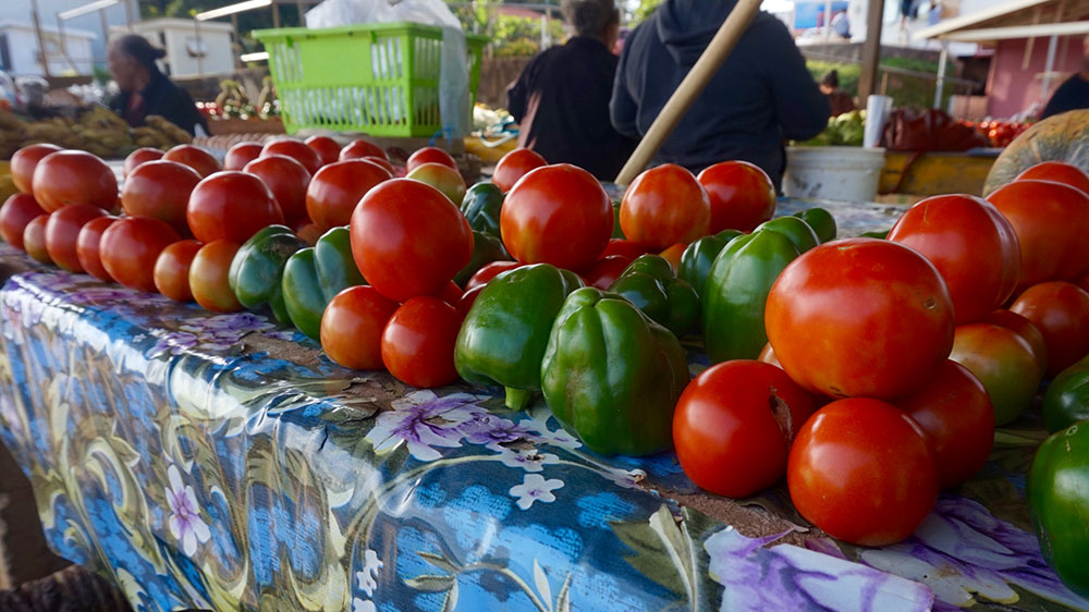 blauwasser_revier_tonga_vavau_neiafu_markt