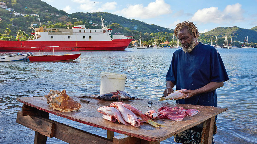 blauwasser_reviere_karibik_windward_islands_11_top_spots_admirality_bay_fischer