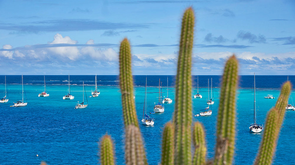blauwasser_reviere_karibik_windward_islands_11_top_spots_tobago_cays_ankerplatz
