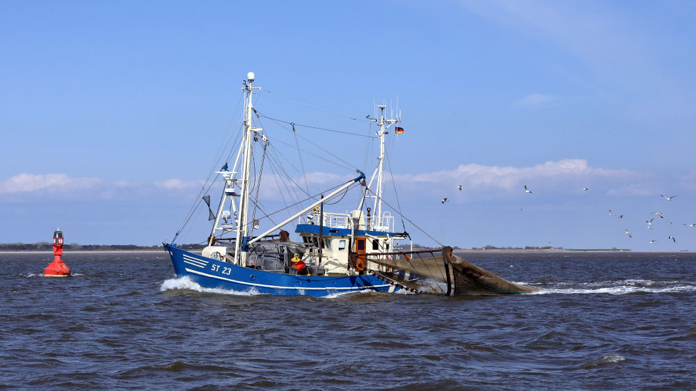 blauwasser_revierinfo_eider_nordsee_nok_muendung