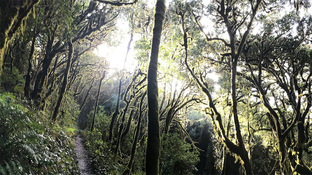 blauwasser_revierinformation_kanaren_atlantik_la_gomera_wandern