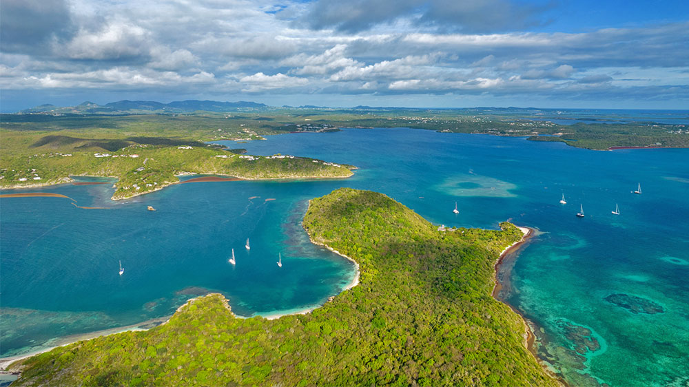blauwasser_revierinformation_karibik_antigua_green_island_riffe