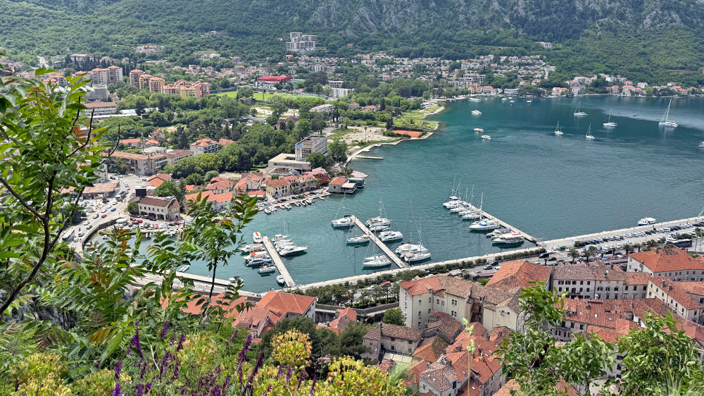 blauwasser_revierinformation_montenegro_marina_kotor