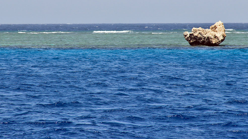 blauwasser_revierinformation_rotes_meer_shaab_abu_fendera