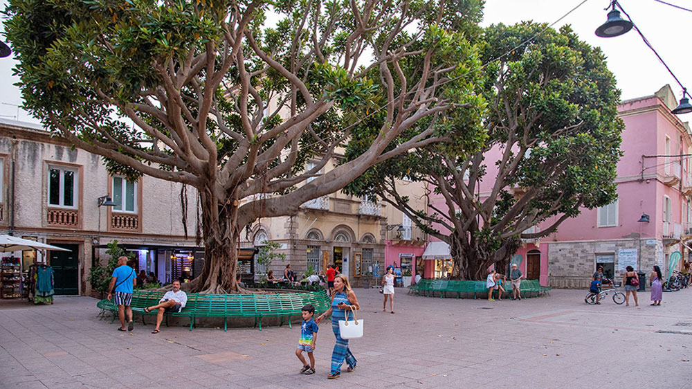 blauwasser_revierinformation_sardinien_sued_carloforte_platz