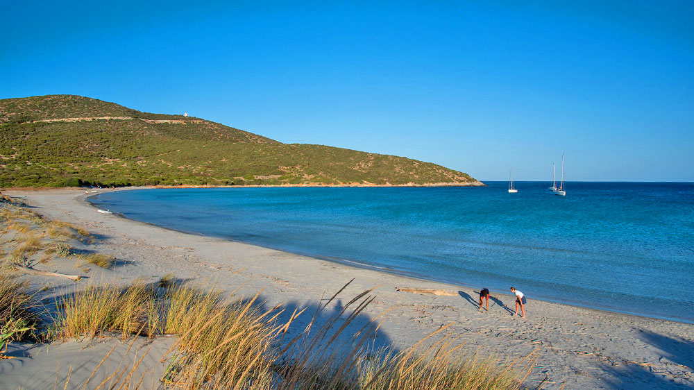 blauwasser_revierinformation_sardinien_sued_zafferano