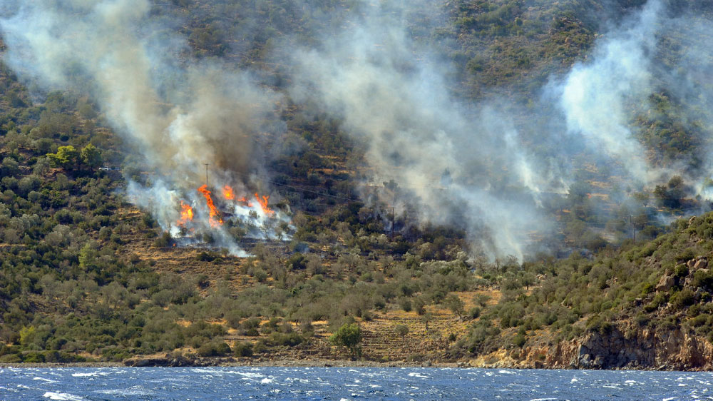 blauwasser_revierinformation_saronischer_golf_waldbrand