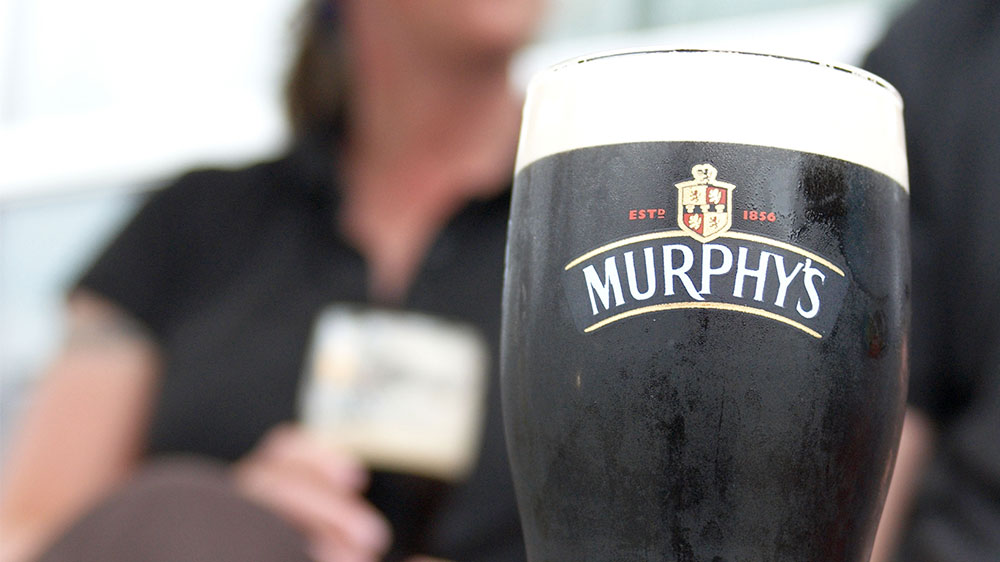 blauwasser_revierreportage_irland_murphys