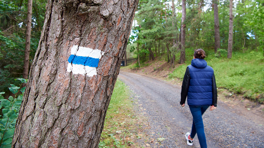 blauwasser_revierreportage_lettland_wanderweg