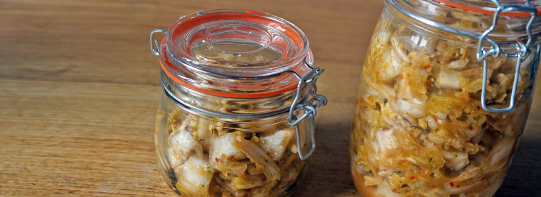 blauwasser_rezepte_kimchi_header