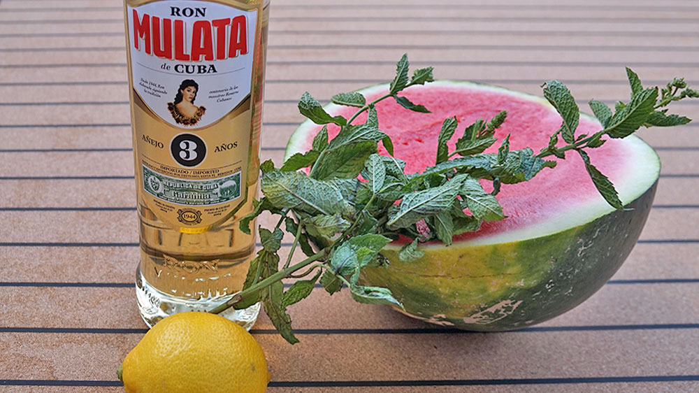 blauwasser_rezepte_melonencocktail_zutaten