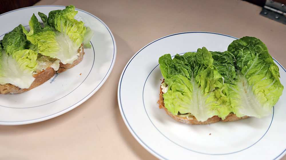 blauwasser_rezepte_skippers_shrimps_stulle