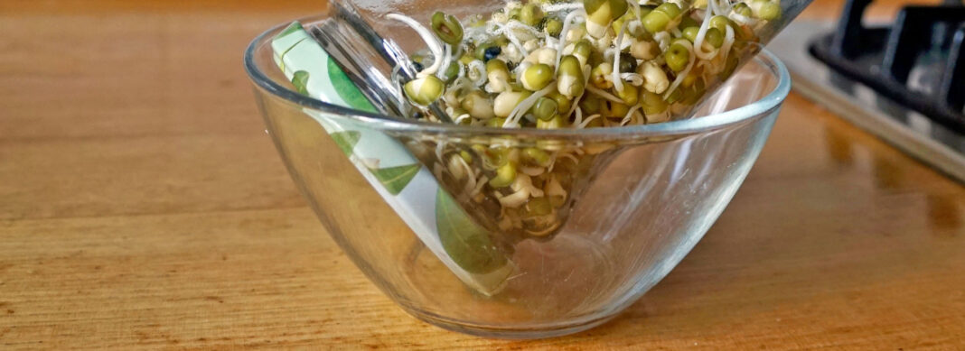 blauwasser_rezepte_sprossen_header