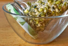 Rezept: Sprossenzucht an Bord