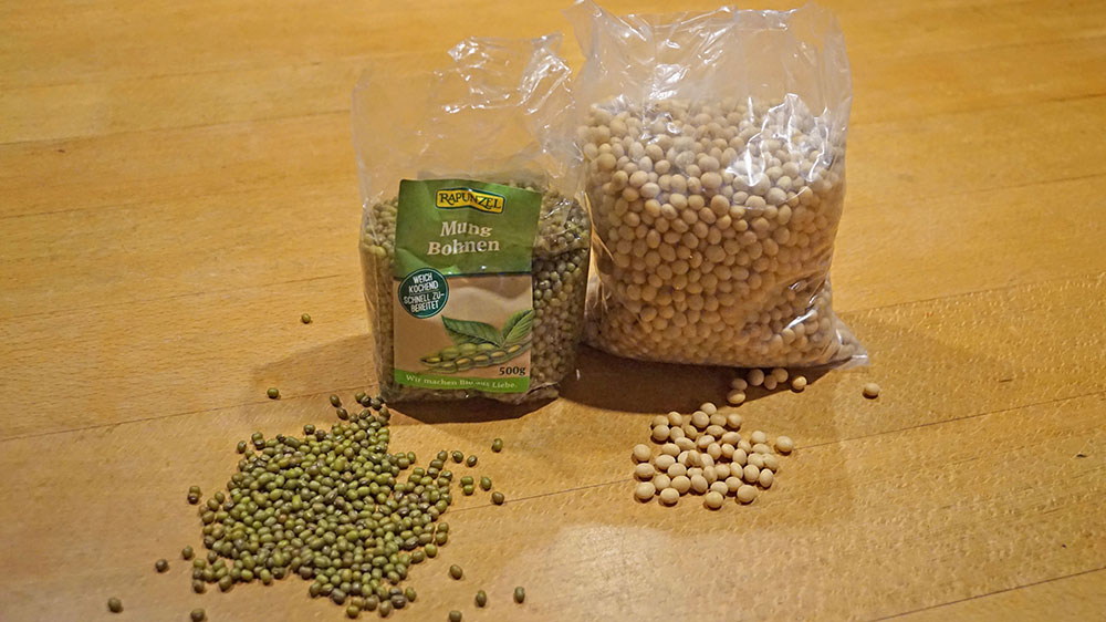 blauwasser_rezepte_sprossen_zutaten