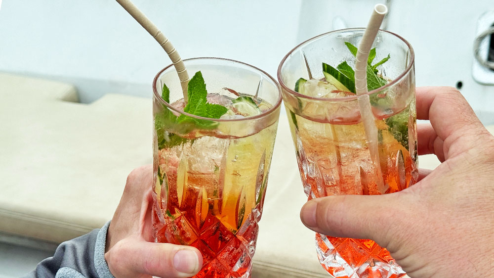 blauwasser_rezepte_virgin_bitter_fertiger_drink