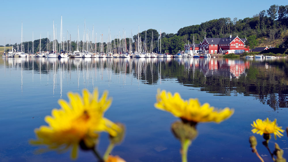 blauwasser_rund_flensburger_foerde_und_als_dyvig_hafen