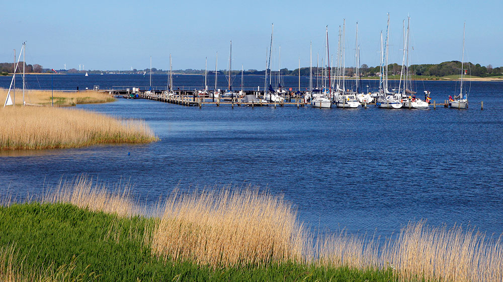 blauwasser_schlei_revierinformation_segeln_lindaunis_yachthafen