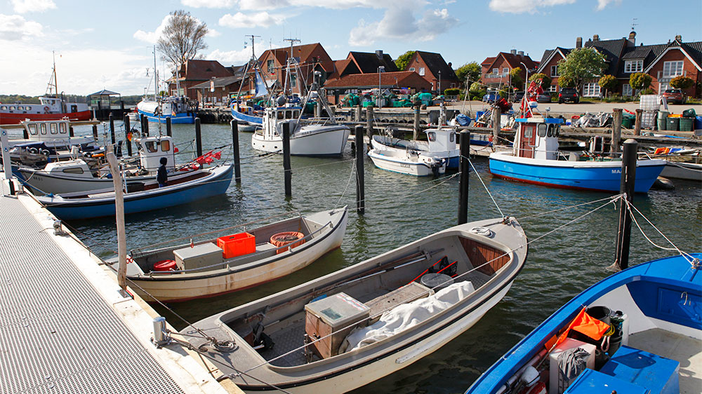 blauwasser_schlei_revierinformation_segeln_maasholm_fischer