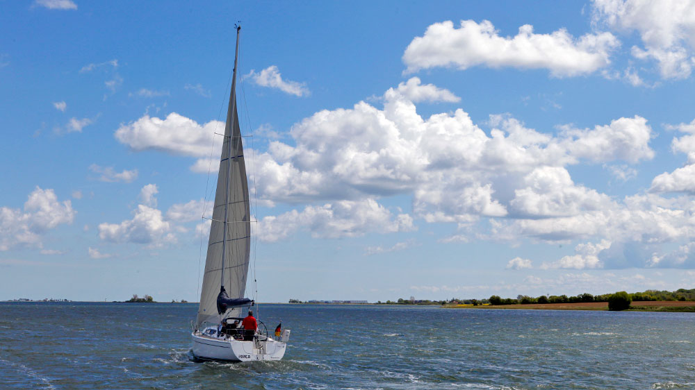 blauwasser_schlei_revierinformation_segeln_wind