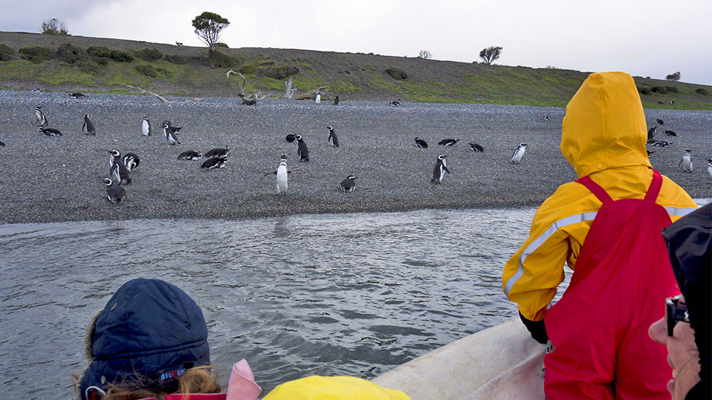 blauwasser_schule_an_bord_pinguine