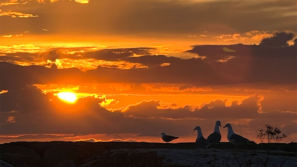 blauwasser_schweden_ostkueste_schaeren_revierinfo_naturschutz