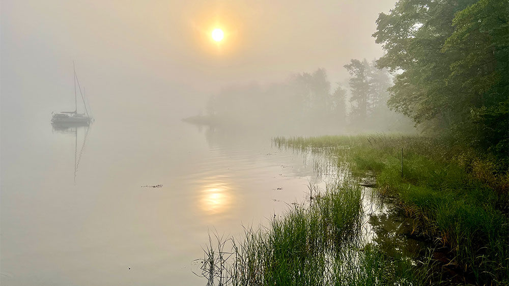 blauwasser_schweden_ostkueste_schaeren_revierinfo_nebel
